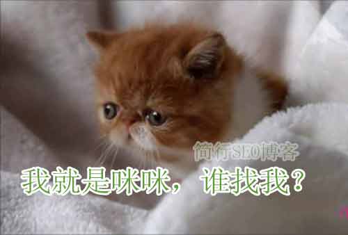 解析修改網(wǎng)站標(biāo)題的五個小秘密